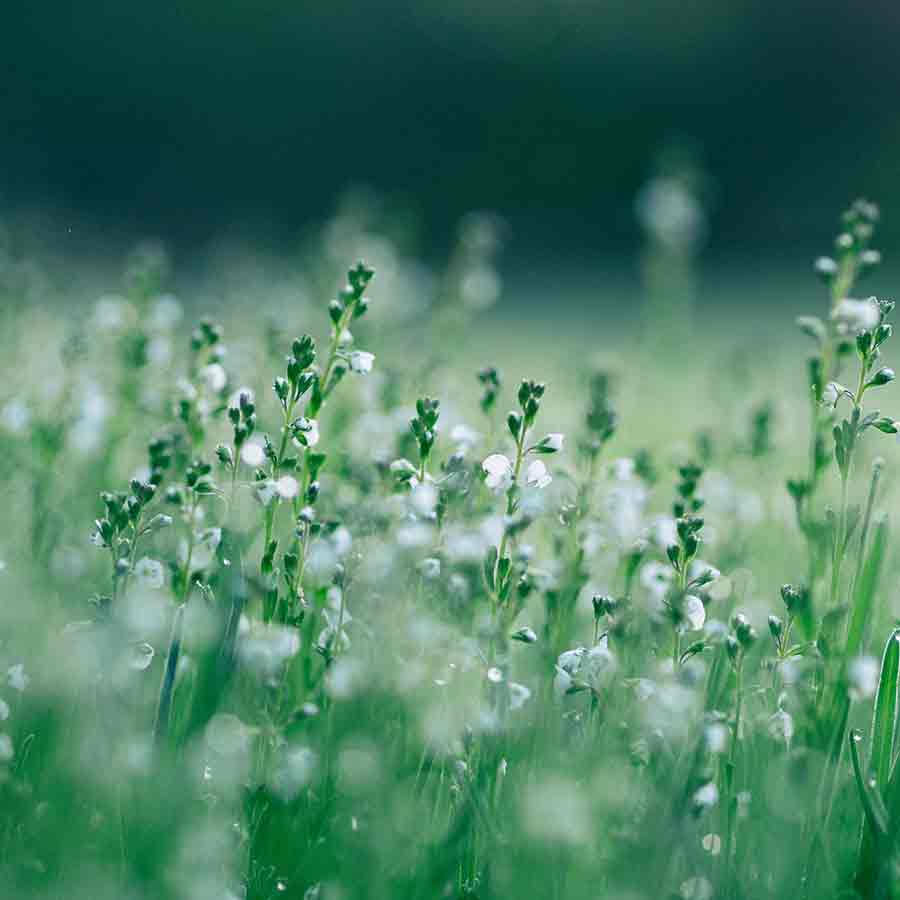 Photo by Aaron Burden on Unsplash